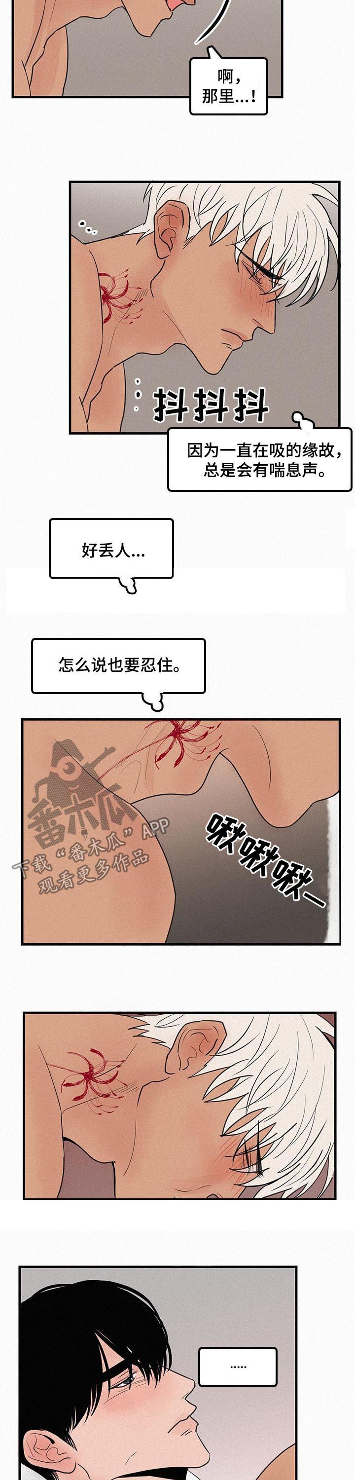 无敌流漫画漫画,第70章番外差点疯掉2图