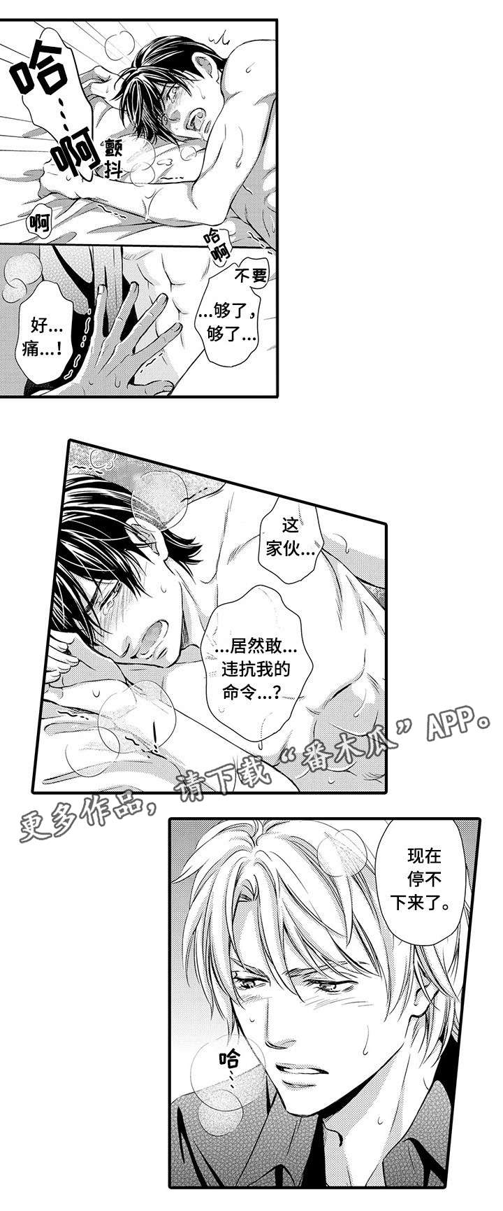 合约期伙伴漫画在线观看漫画,第10章明白1图