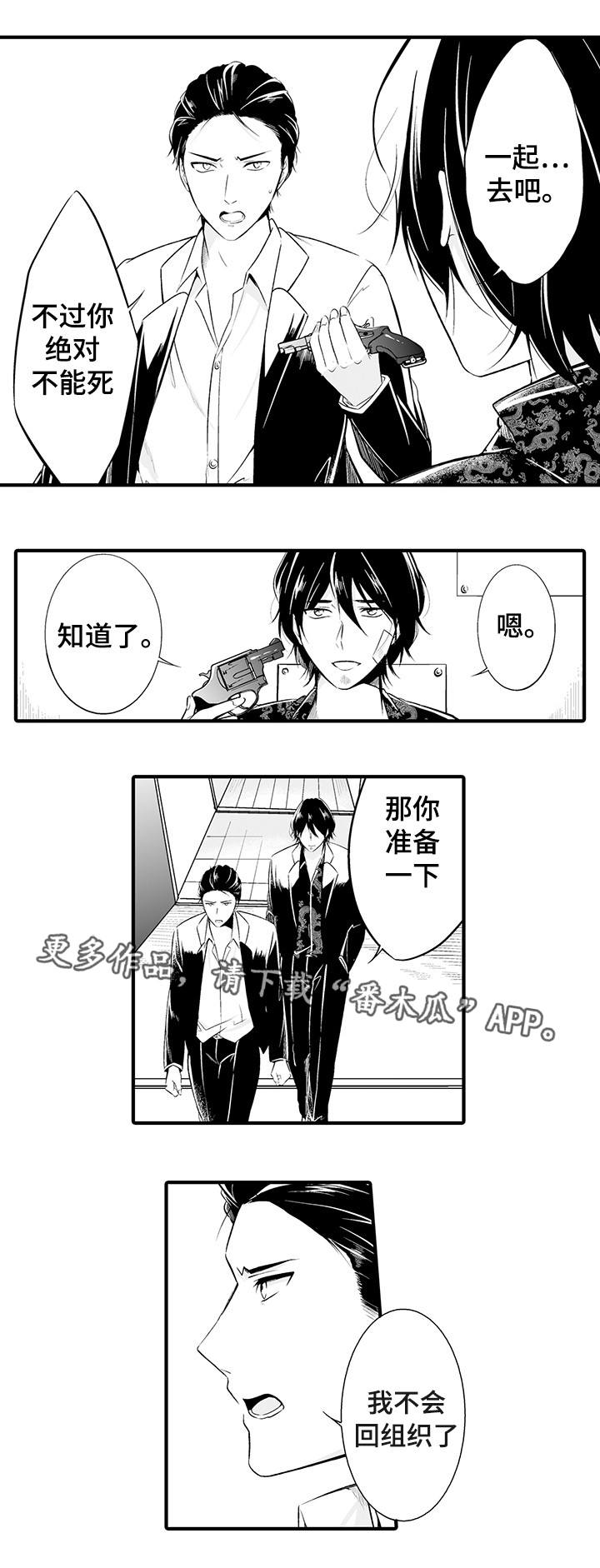 花落一梦漫画人物简介漫画,第8章销声匿迹1图