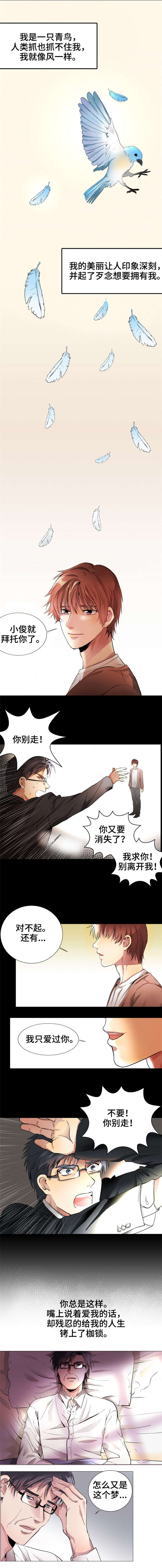 共同目标漫画漫画,第1章青鸟2图