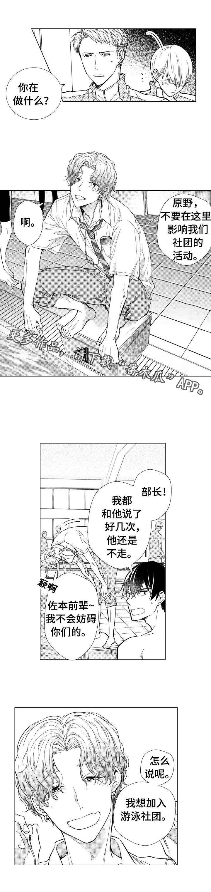kiss定律漫画第二季出了吗漫画,第57话 576图