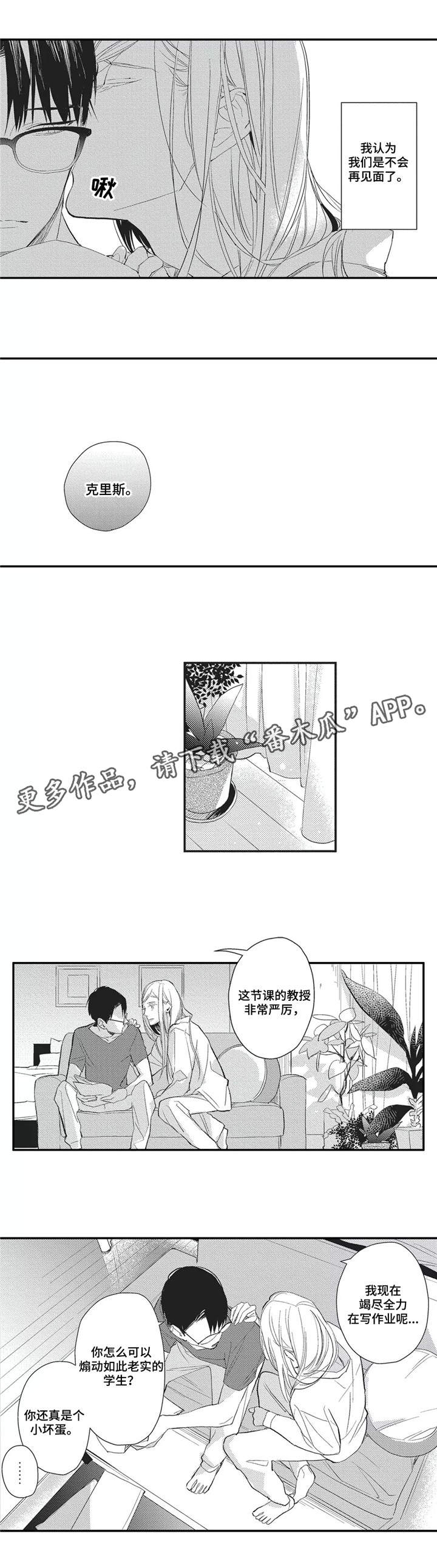 kiss定律漫画第二季出了吗漫画,第129话 1299图