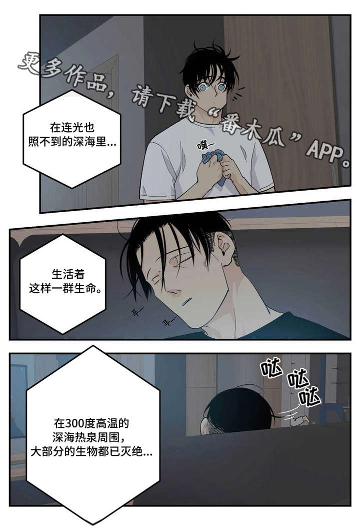 诞生者漫画漫画,第31章：出手9图