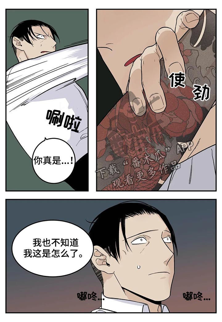 诞生漫画写的什么故事漫画,第52章：三女齐至（完）1图