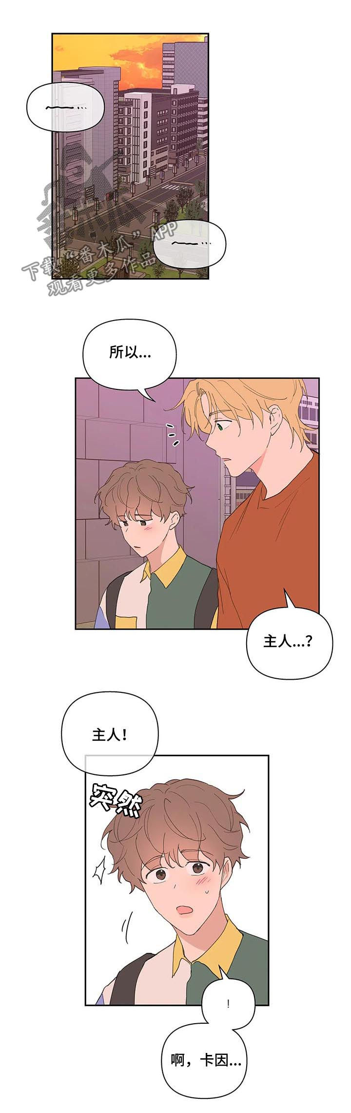 分隔式漫画漫画,第61章我骗了你1图