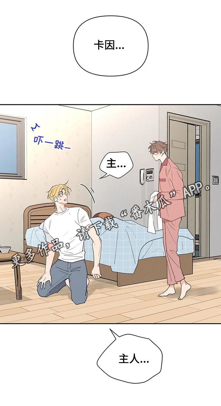 黑色边界漫画漫画,第110章不会说谎2图