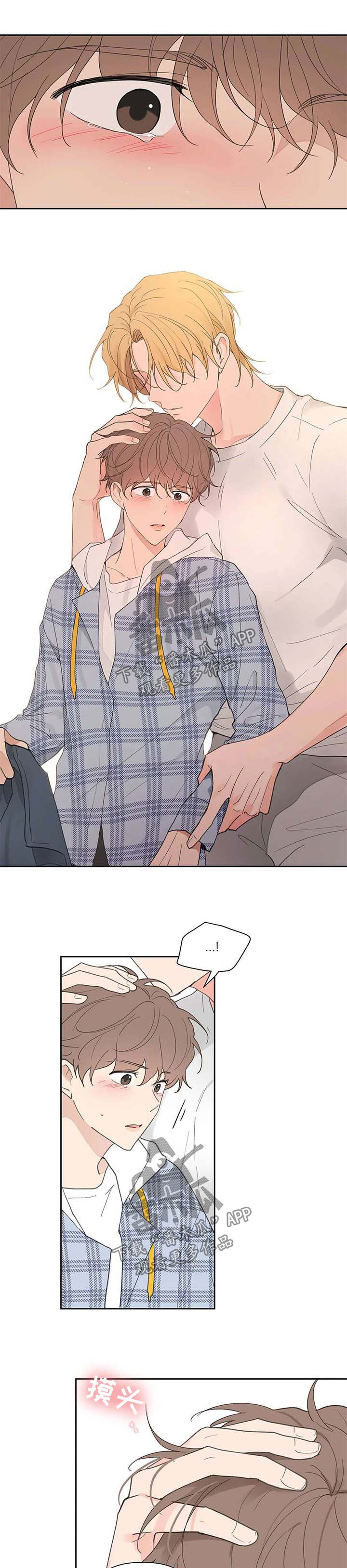 黑手边界漫画免费漫画,第85章不能喜欢他2图