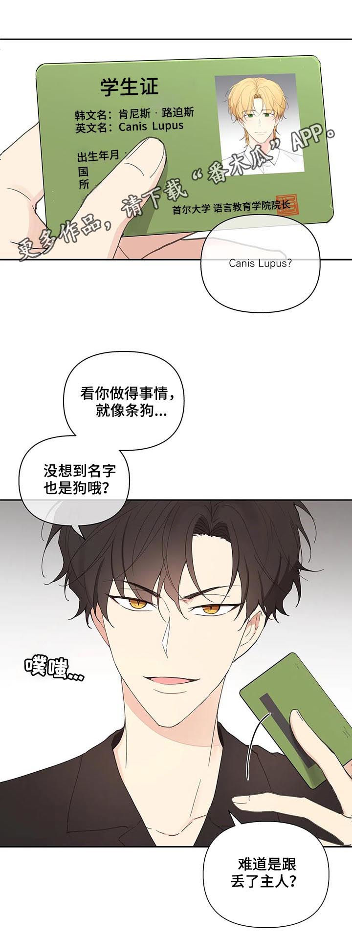 切断边界漫画漫画,第59章被骗了2图