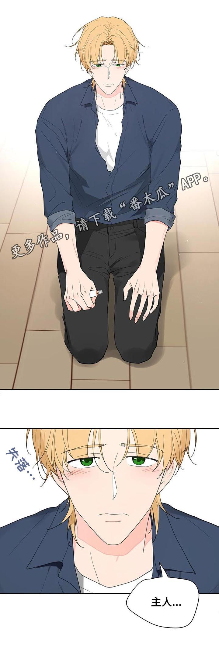 分隔式漫画漫画,第120章平静2图