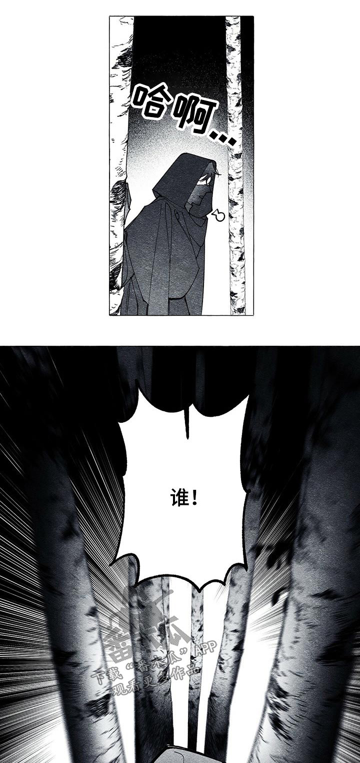 黑暗行走图片漫画,第9章：不出意料5图