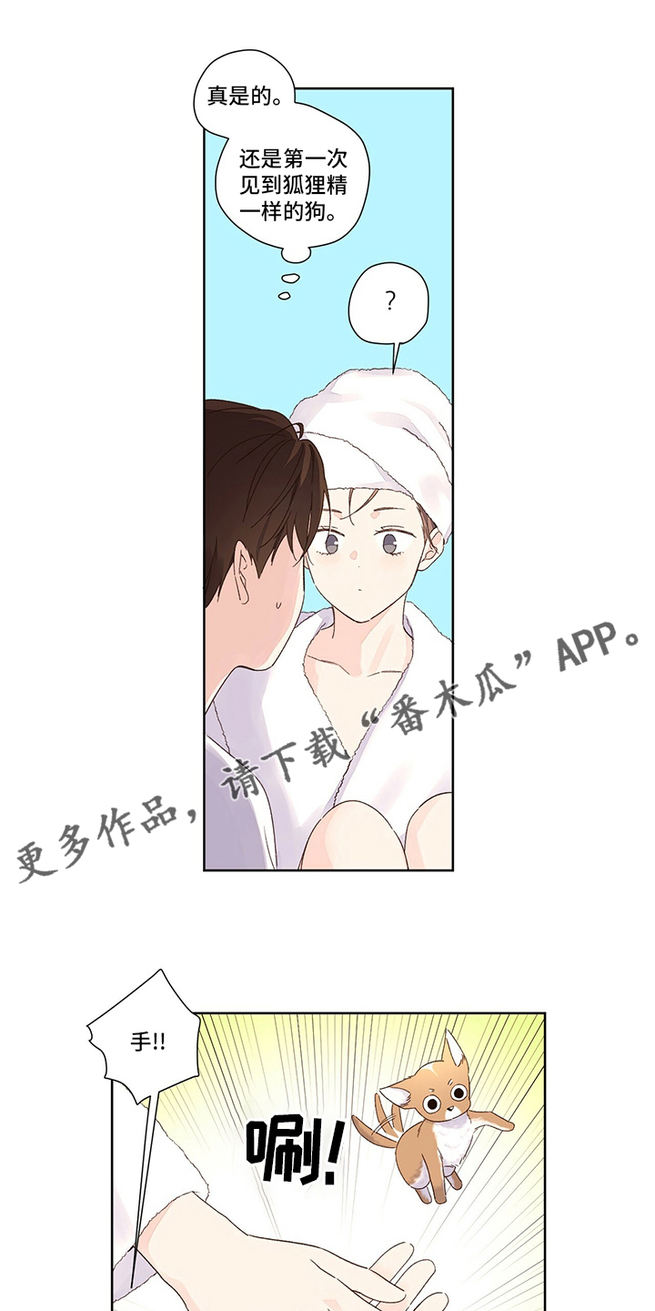 家有双姝漫画漫画,第8章：地铁上的奇怪事件7图