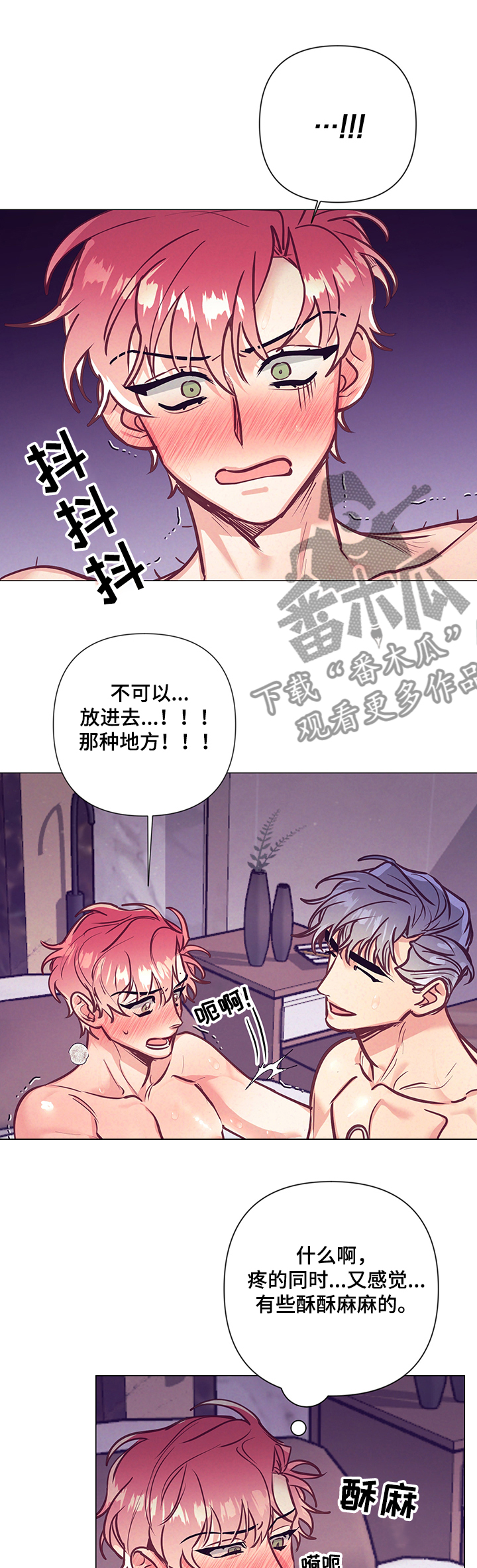 化蛇漫画韩文名漫画,第115章不可以1图