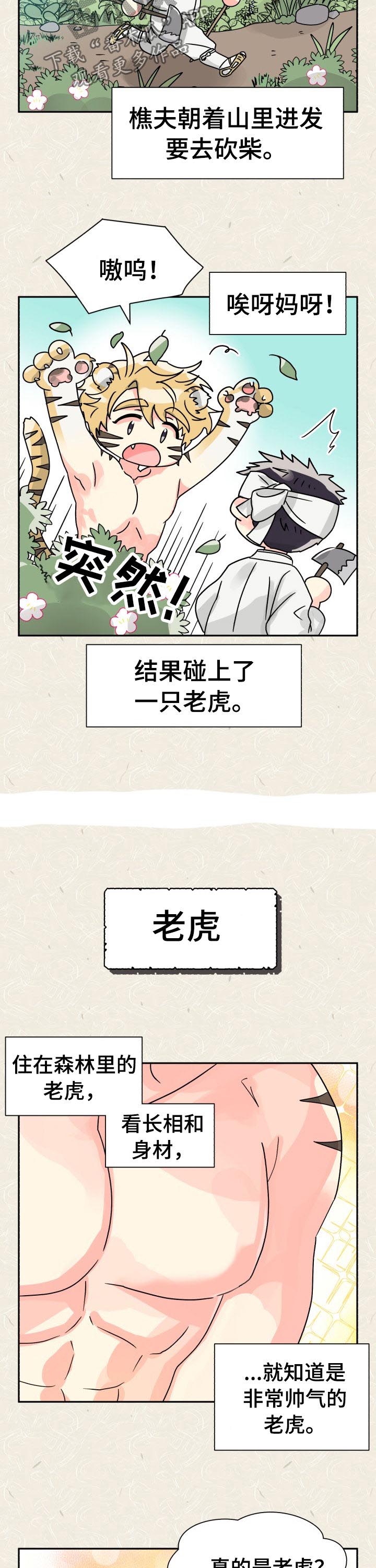 大公子的玩物漫画完整漫画,第51章特别篇樵夫与老虎2图