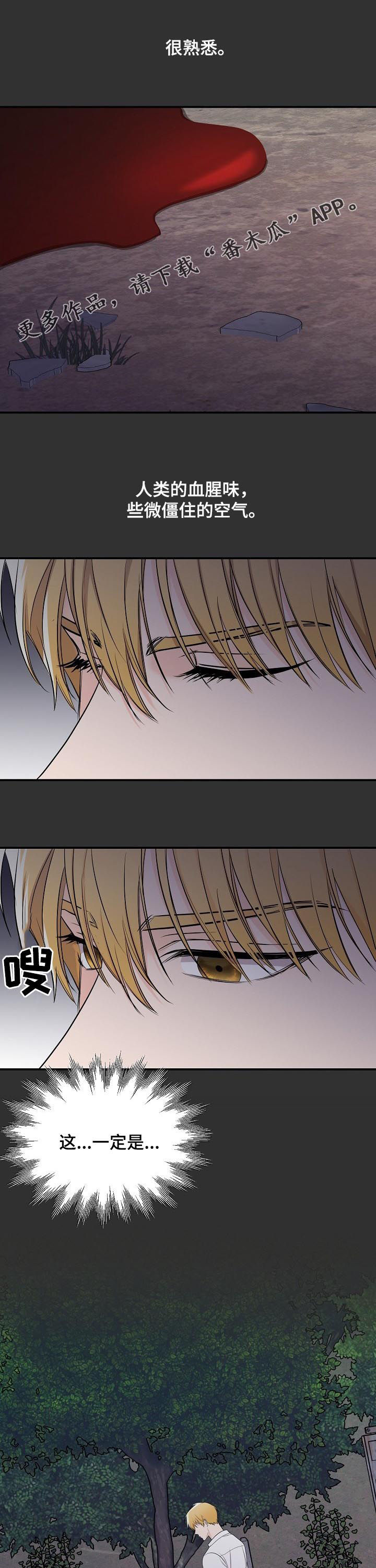 摄影风格漫画漫画,第47章：聊天8图