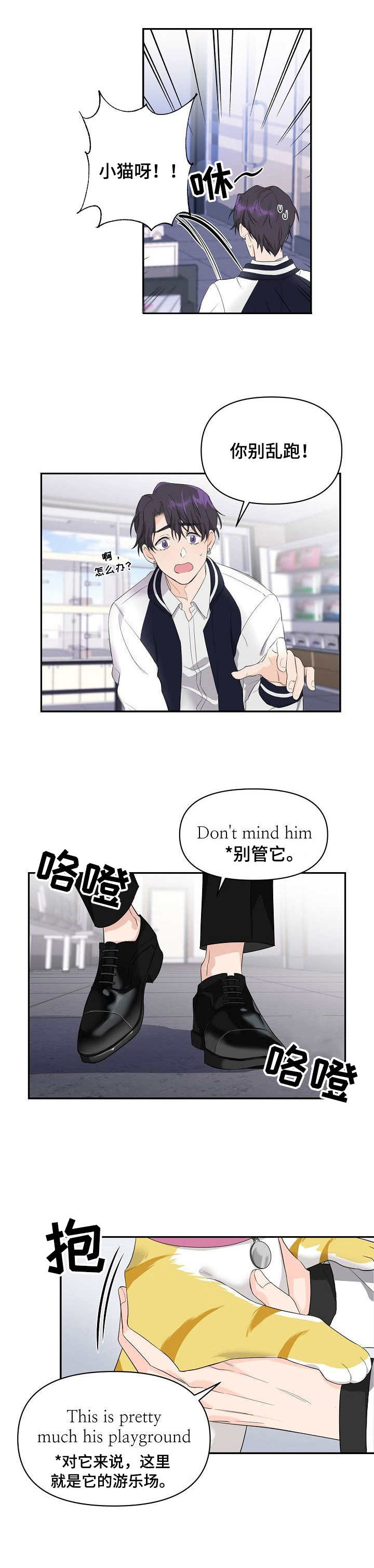 摄影风格漫画漫画,第62章：踢馆1图