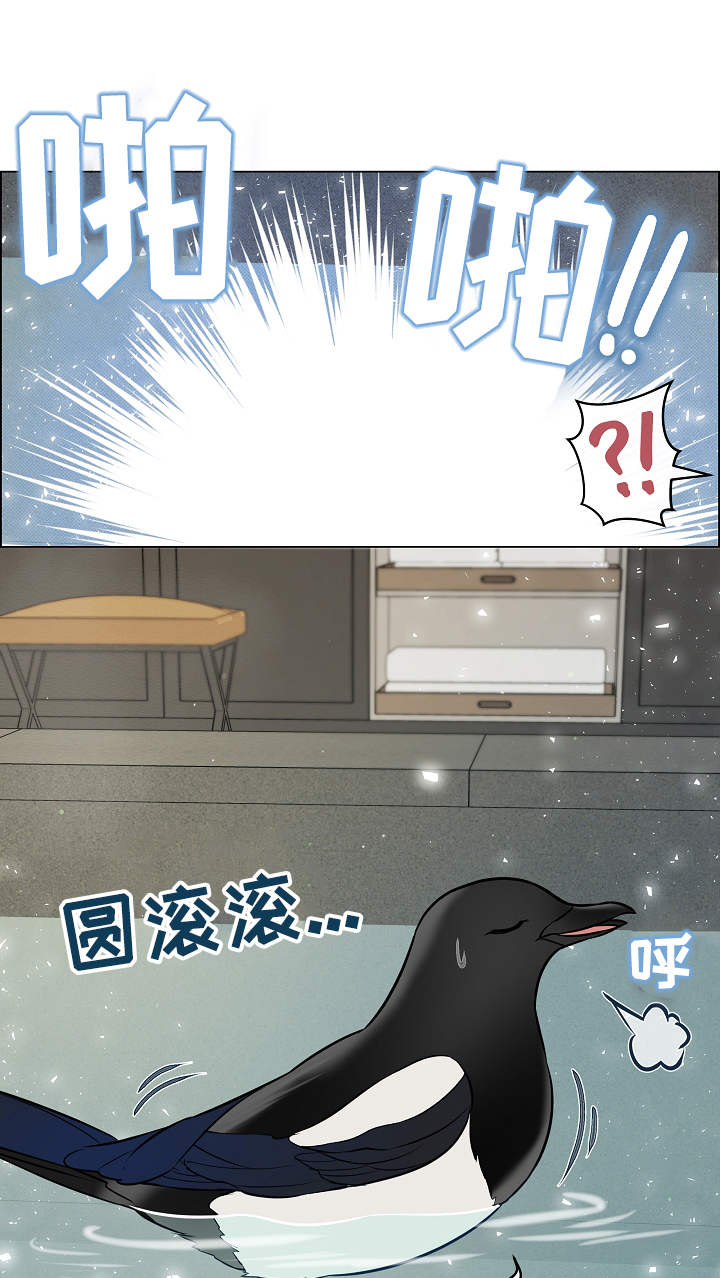 玉翡翠漫画漫画,第2话 第二话5图