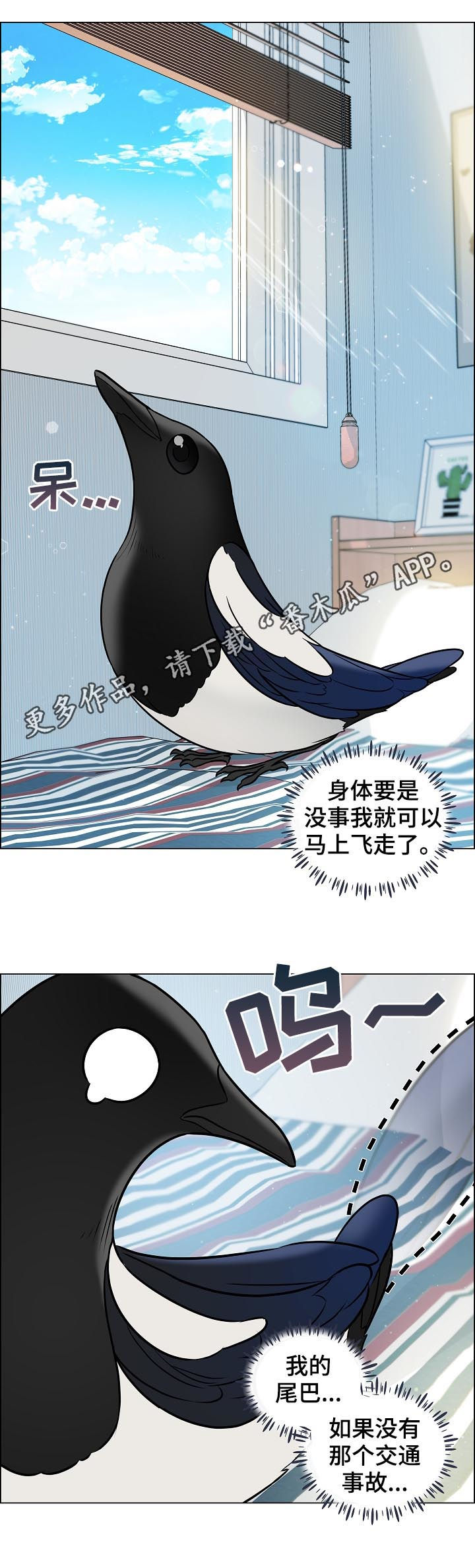 直到遇见你漫画漫画,第69章安稳1图