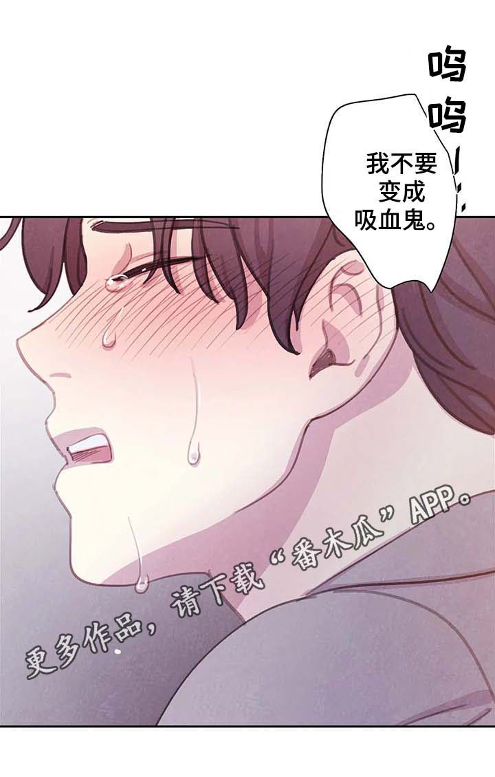 爱直播漫画漫画,第59章更加的绝望（第一季完结）1图