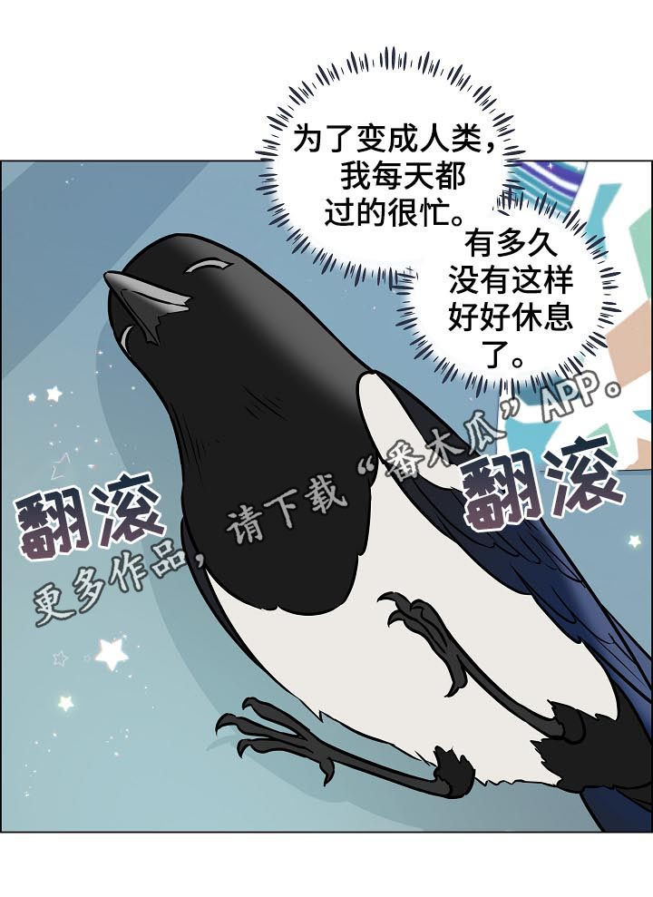 直到遇见你漫画漫画,第70章离开1图