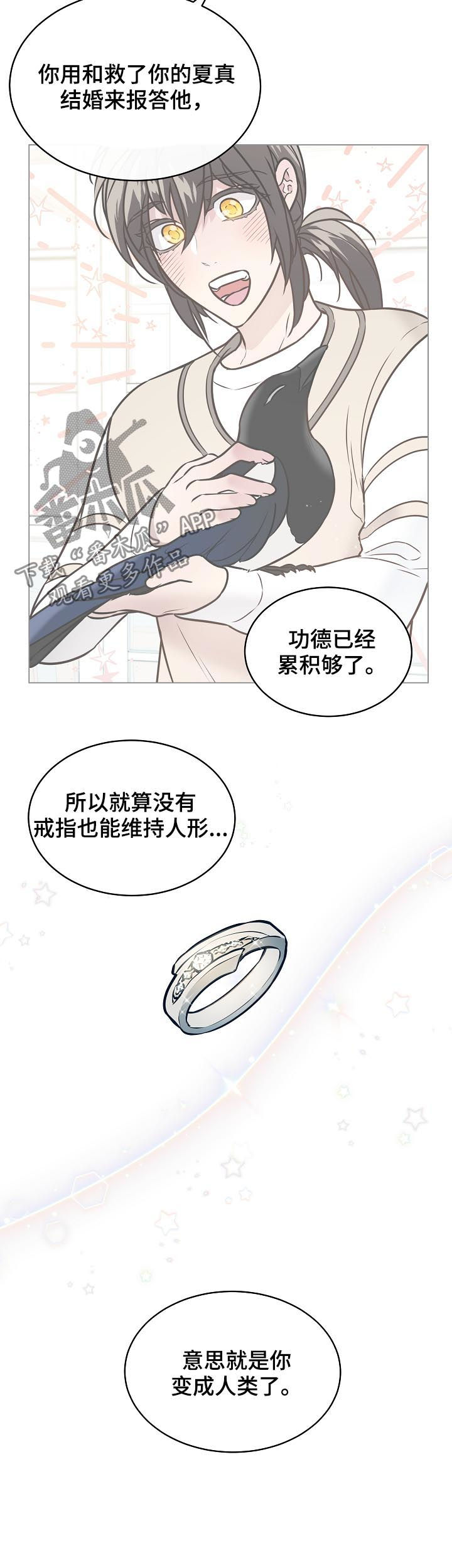 直到遇见你漫画漫画,第94章结婚2图