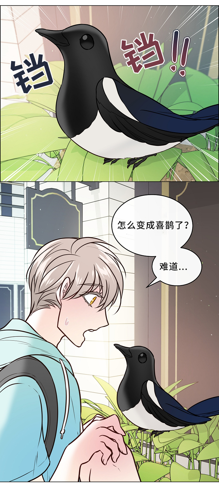 直到遇见你漫画漫画,第43章喜鹊的秘密1图