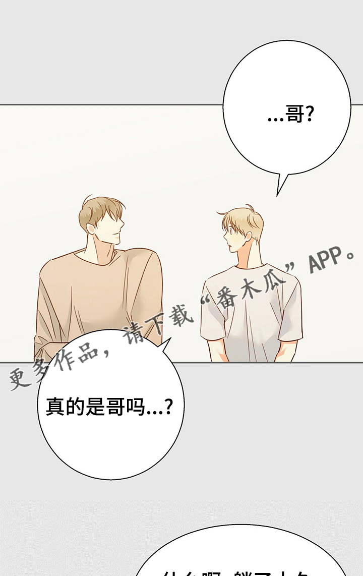 请解决我的爱漫画漫画,第100章【第二季】怎样都喜欢2图