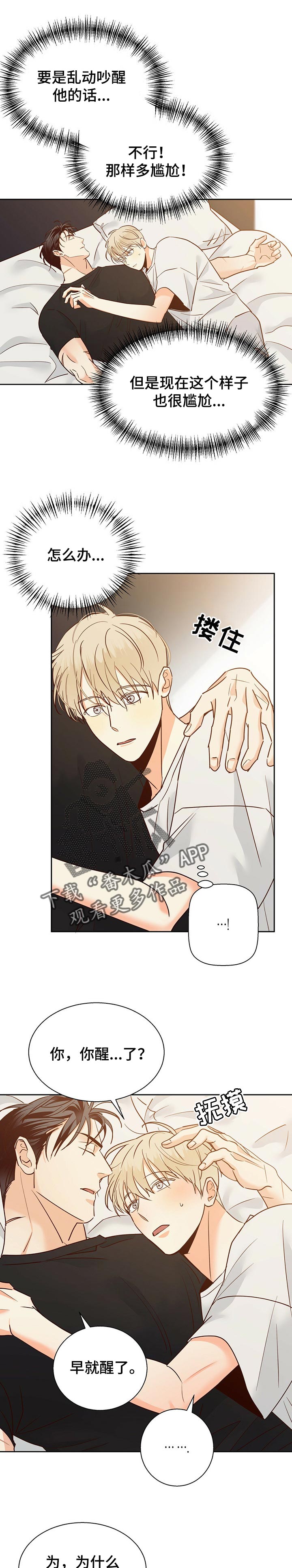 请解决我的爱漫画漫画,第79章【第二季】花2图