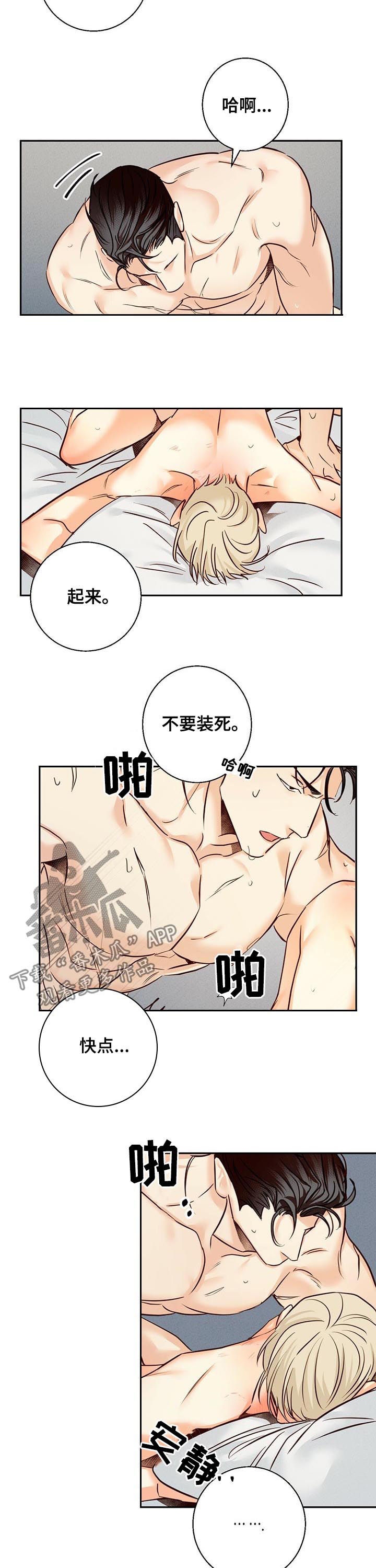 请解决我的爱漫画漫画,第52章【番外】承认失败1图