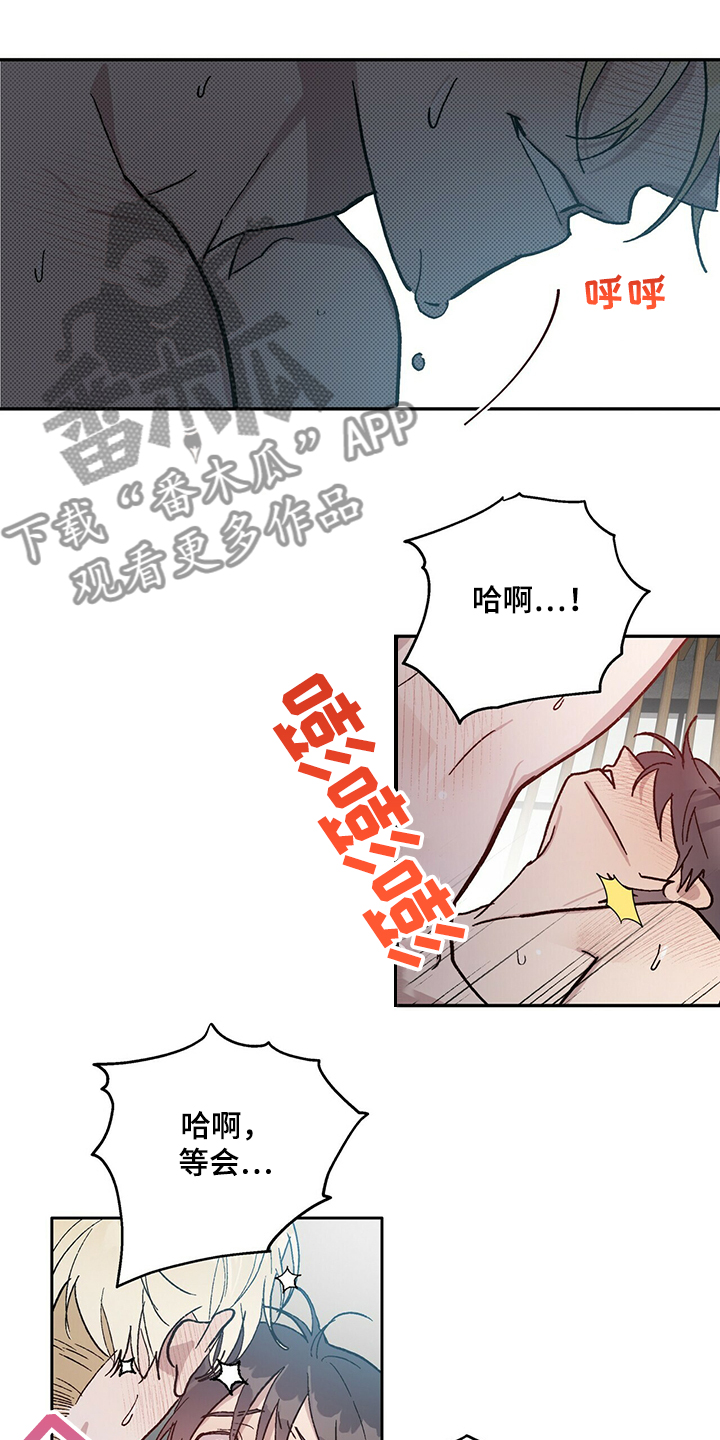 这就是真正的爱作文漫画,第72章成结2图