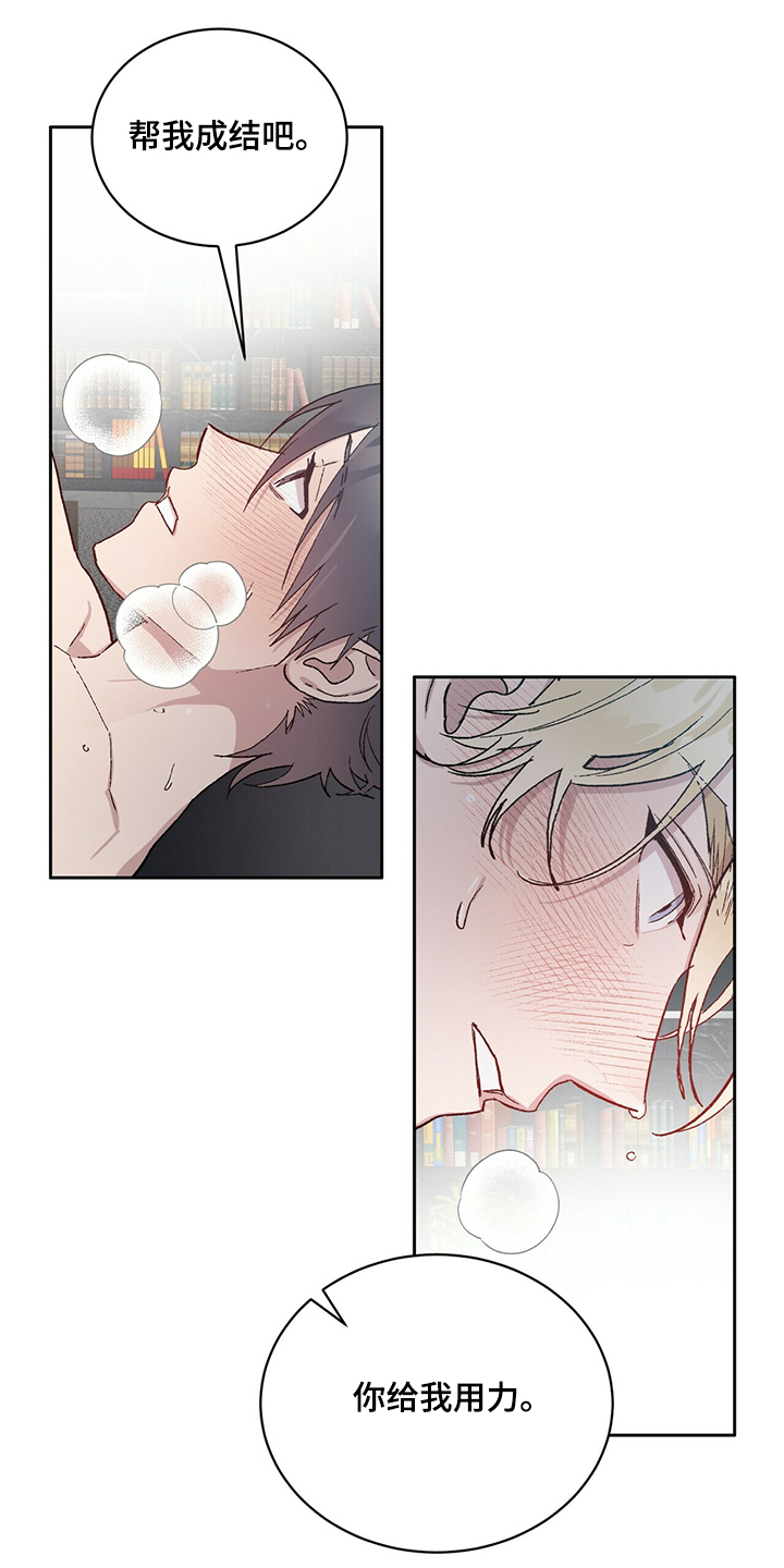 这就是真正的爱作文漫画,第72章成结1图