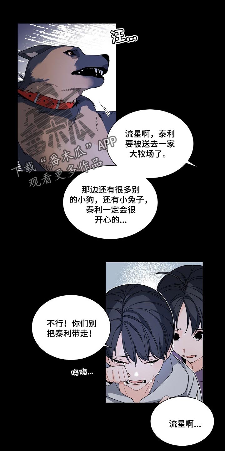 催眠大家族漫画,第101章【第二季】发烧1图