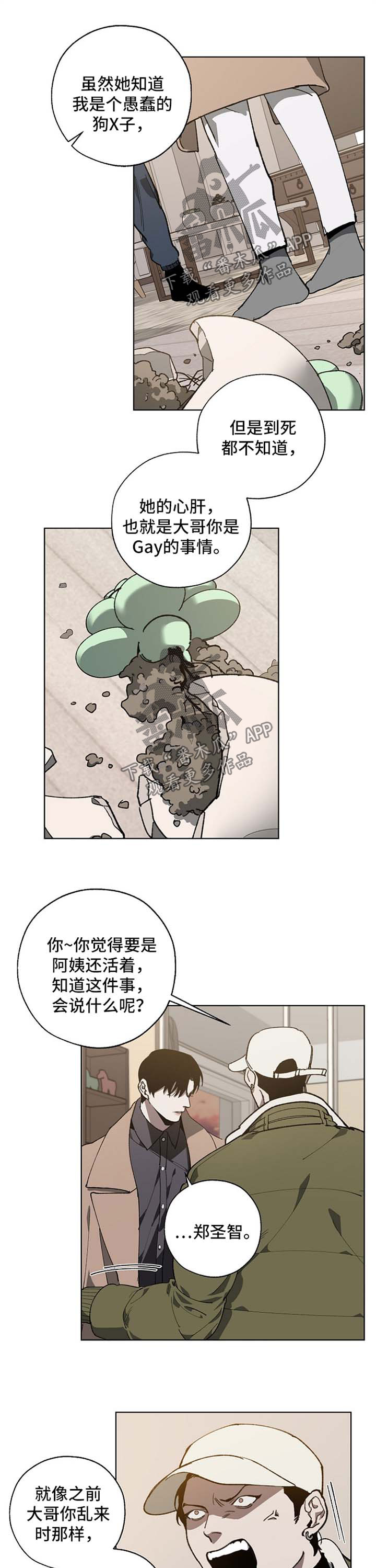 老实人官网漫画,第118章：4图