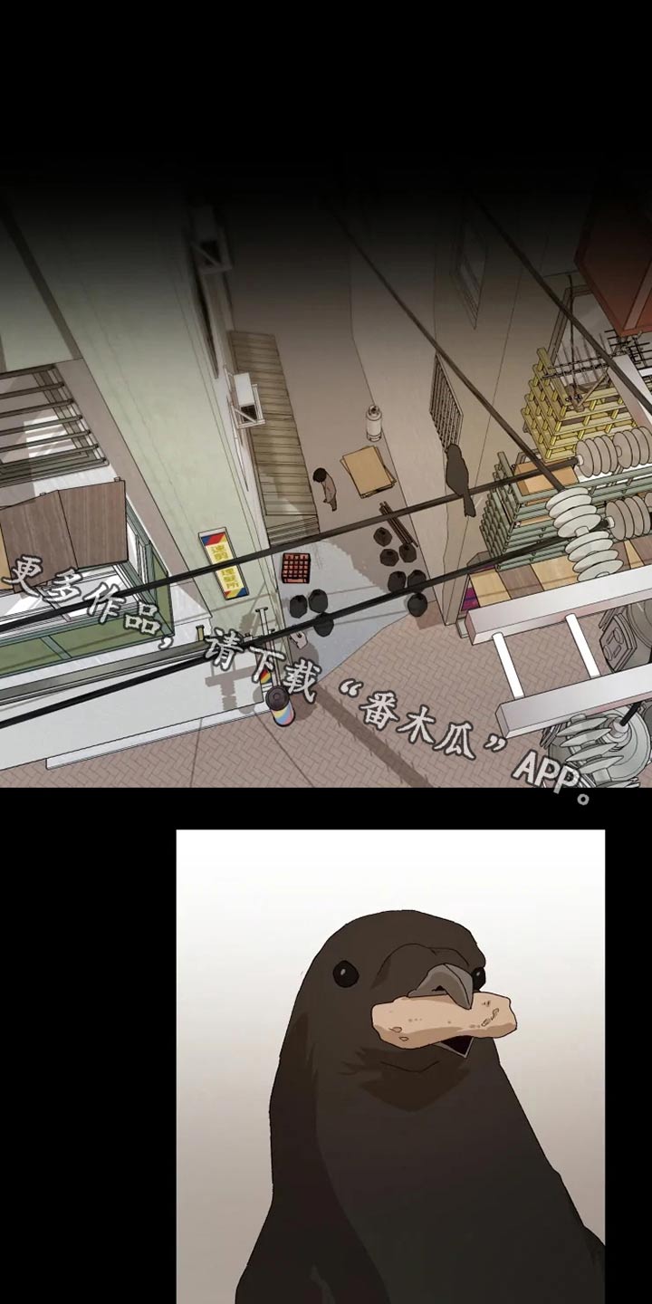 背叛题材漫画漫画,第59章：主动出击3图