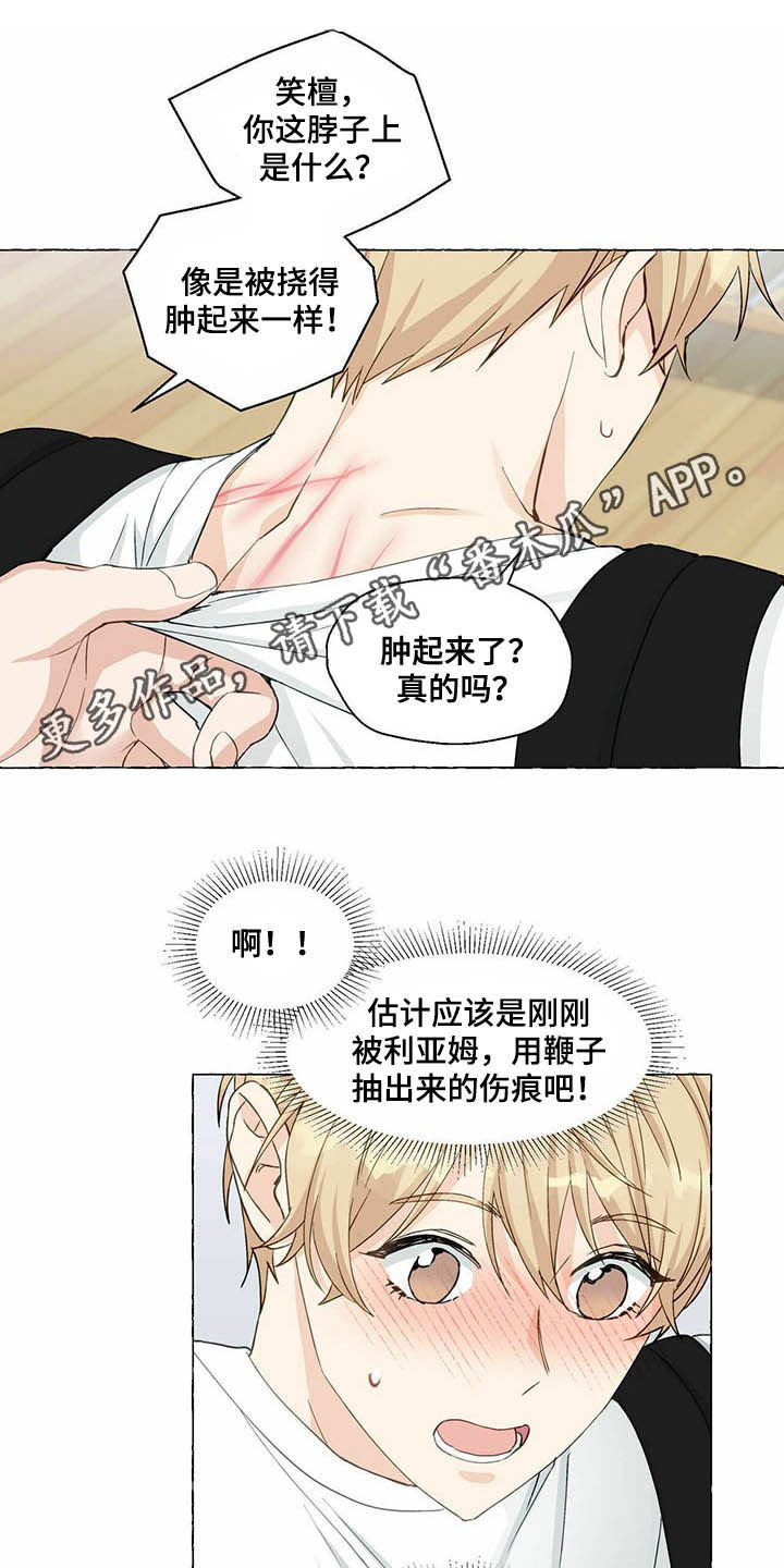 茶生活治愈人生漫画,第65章隐瞒2图