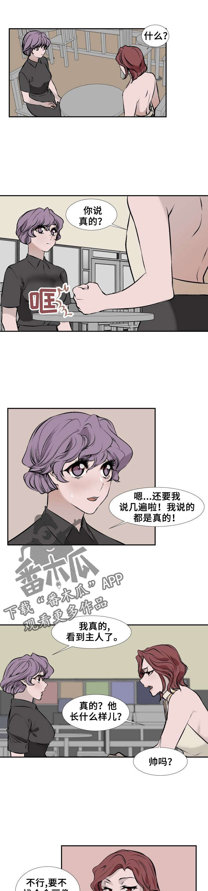 火爆香蕉漫画漫画,第11章专家1图