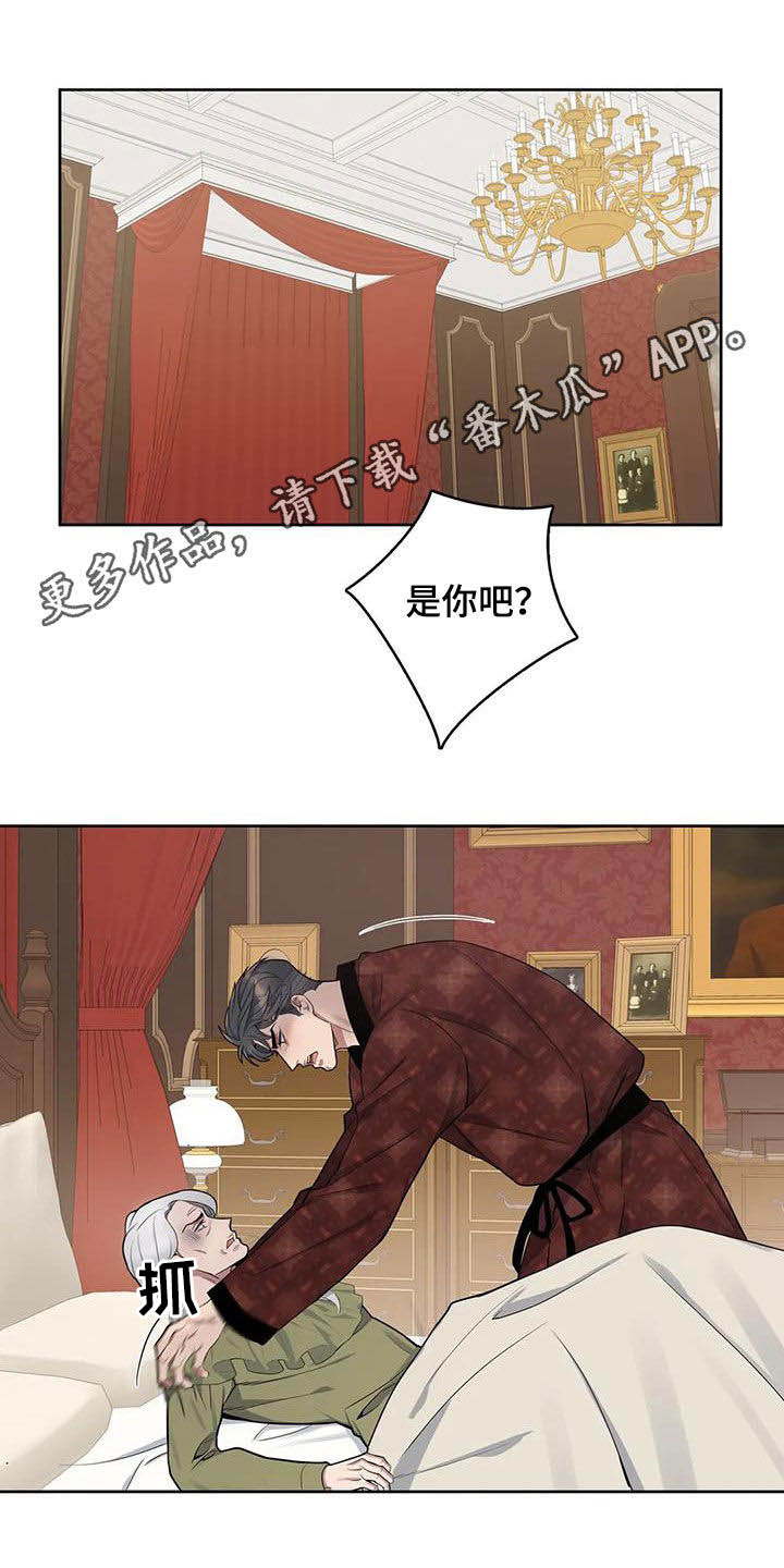 争宠精灵使漫画漫画,第14章：礼物3图