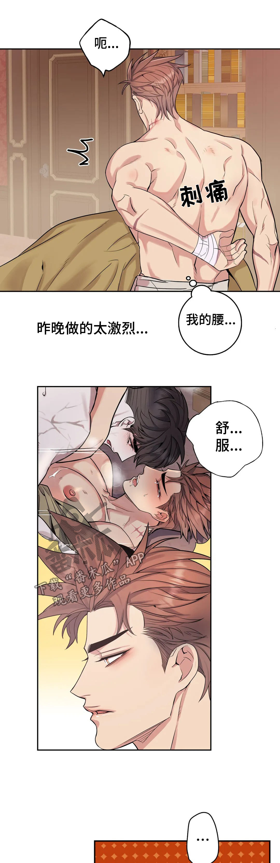 争宠精灵使漫画漫画,第47章：意外惊喜5图