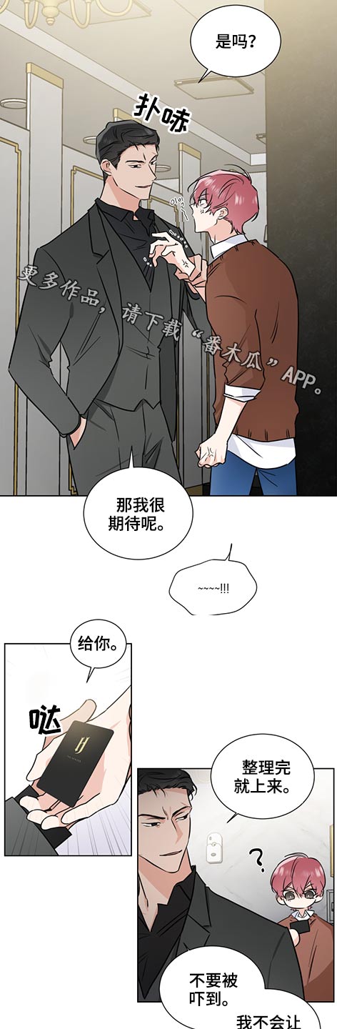 挑衅小说芝士漫画,第62章支票1图