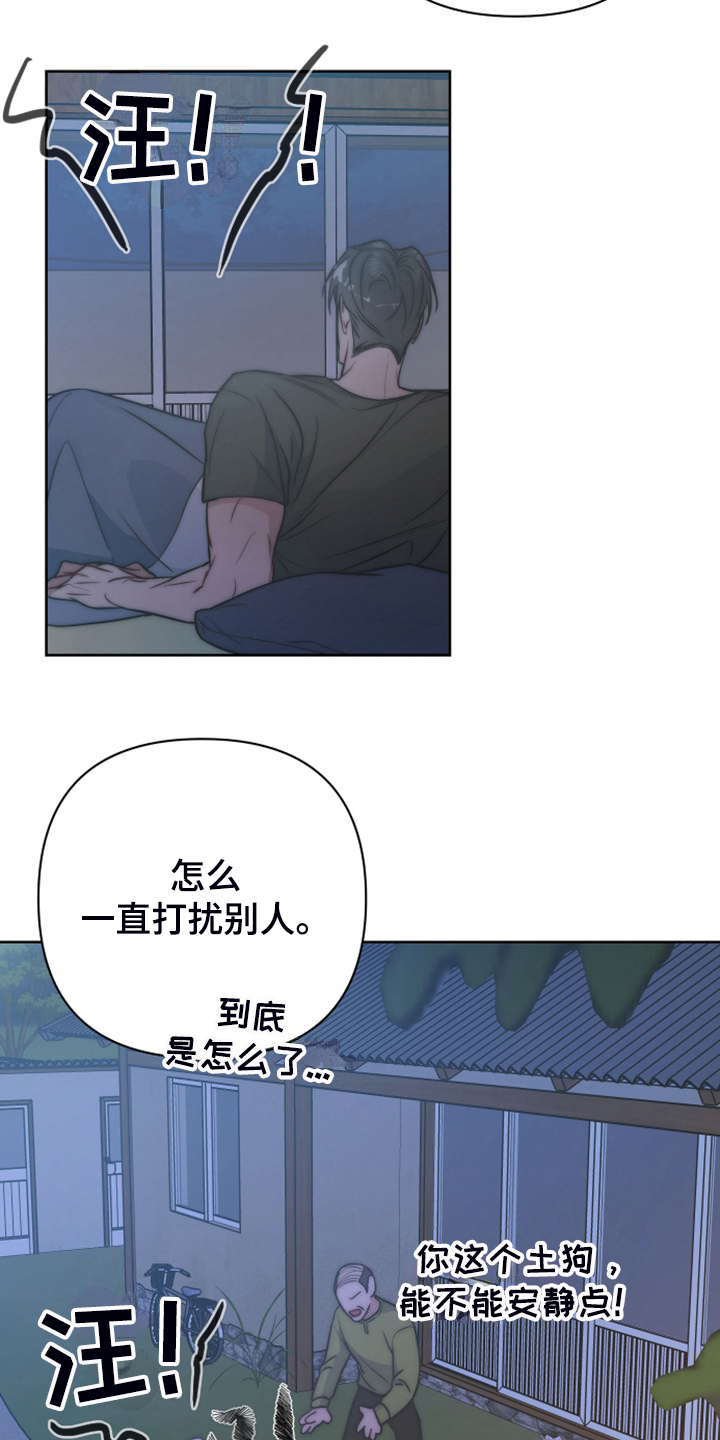 终点线怎么画?漫画,第59章凶悍的小狗2图