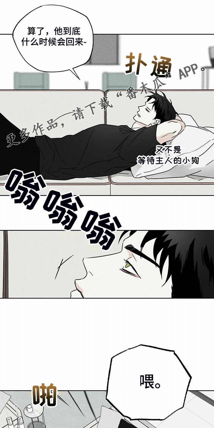 甜蜜杀戮漫画漫画,第44章明显的答案1图