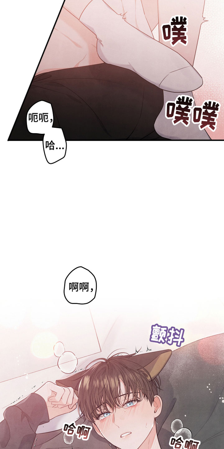 现实愿望漫画漫画,第12章我等你1图