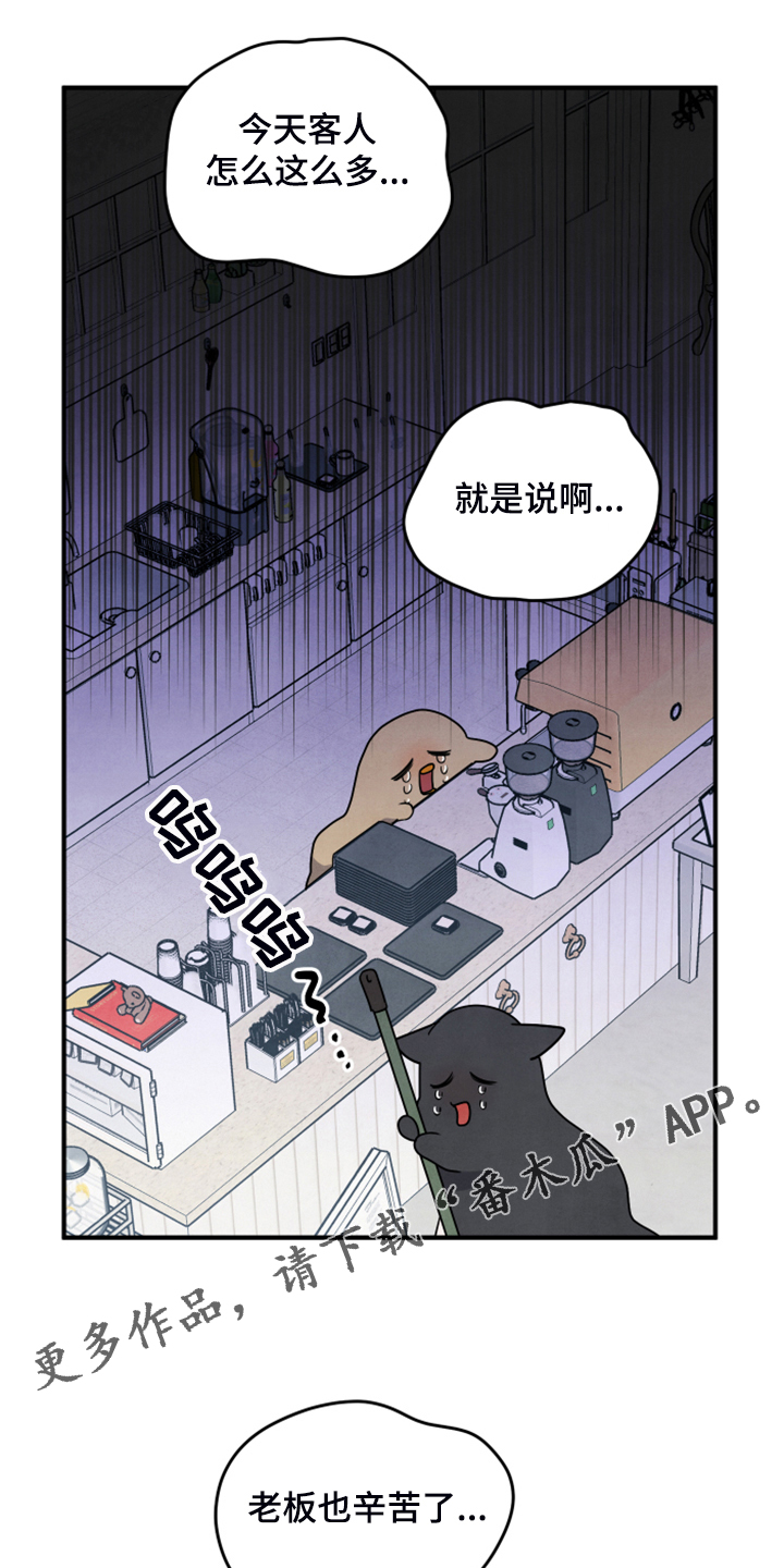 现实愿望漫画漫画,第19章并不熟1图