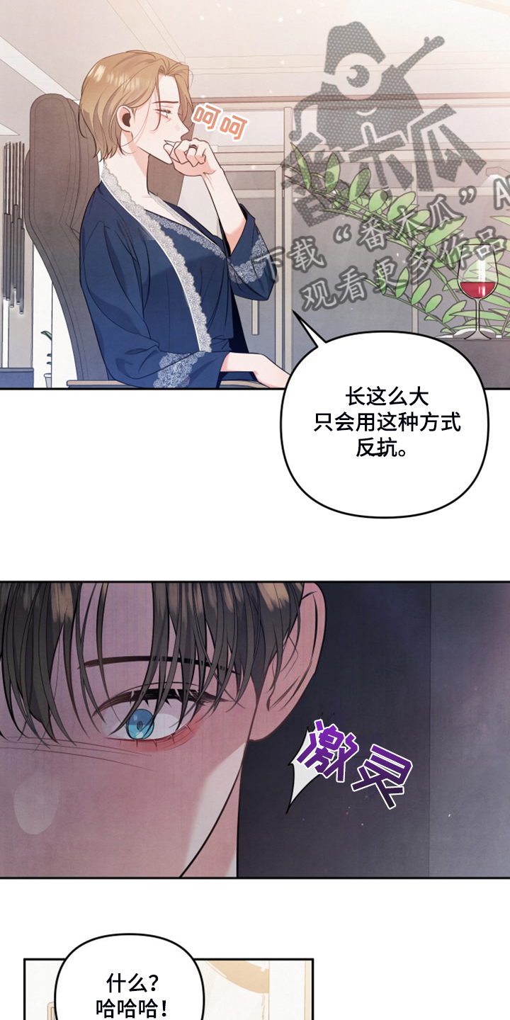 憧憬漫画漫画,第25章母亲的算计3图