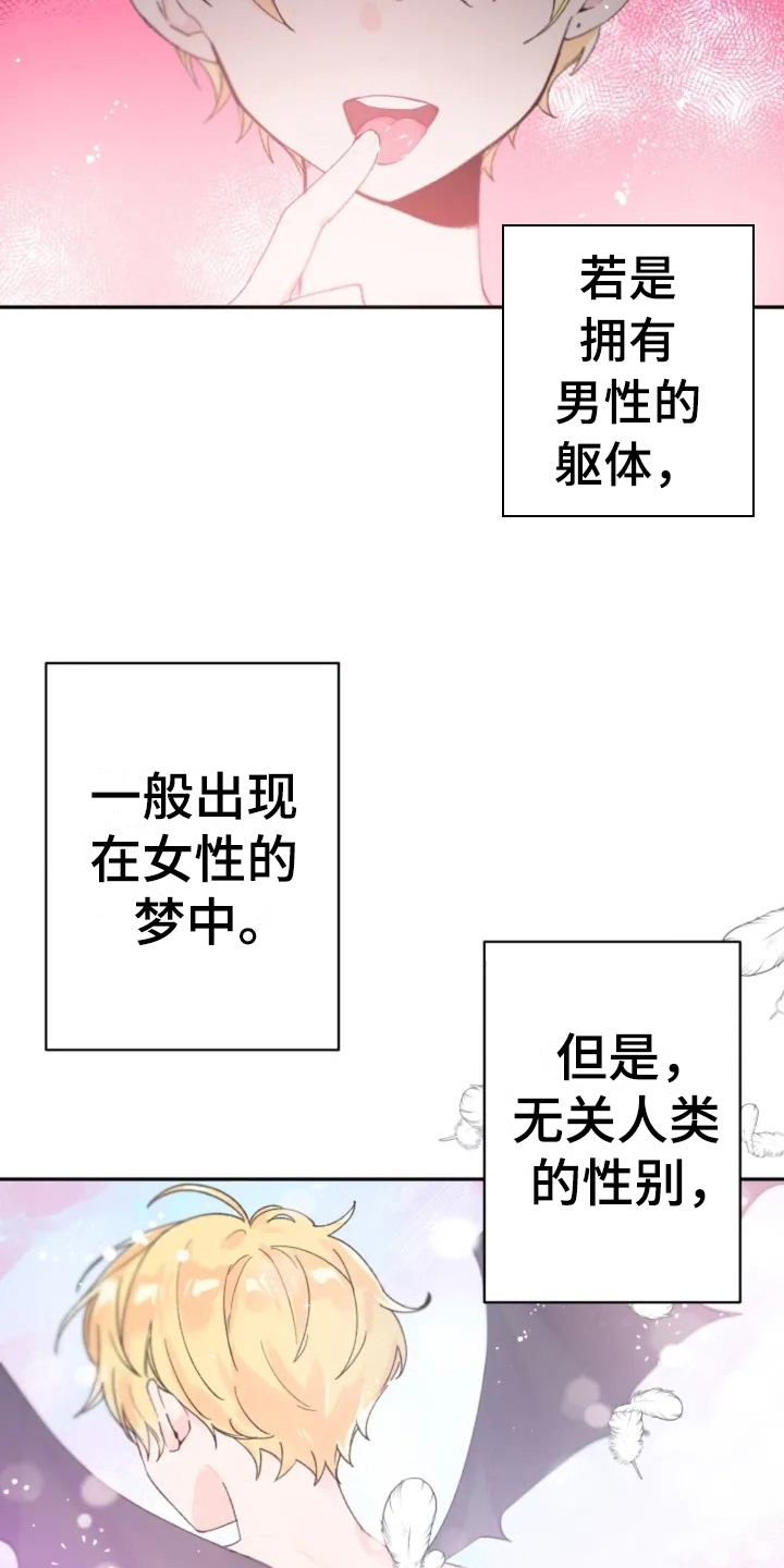 无法阻挡的highkick韩语中字在线观看漫画,第4话 说什么5图