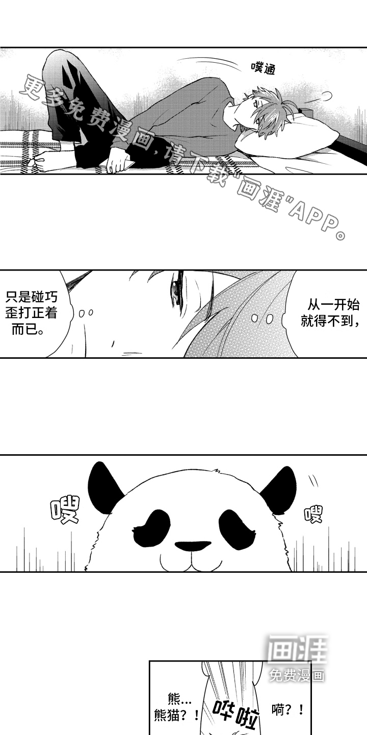 失忆陷阱漫画完整版在哪里看漫画,第17章：重要1图