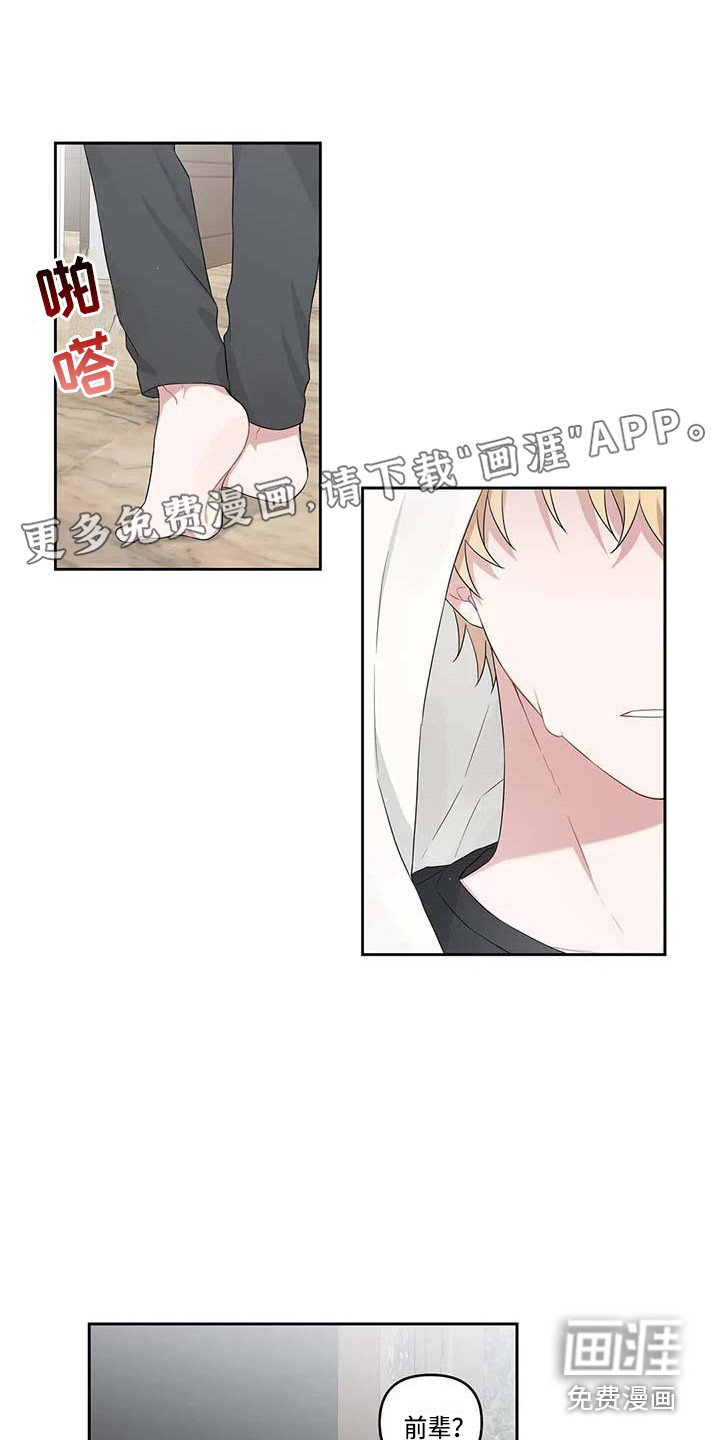 金代理的规则漫画漫画,第10话 小树林2图