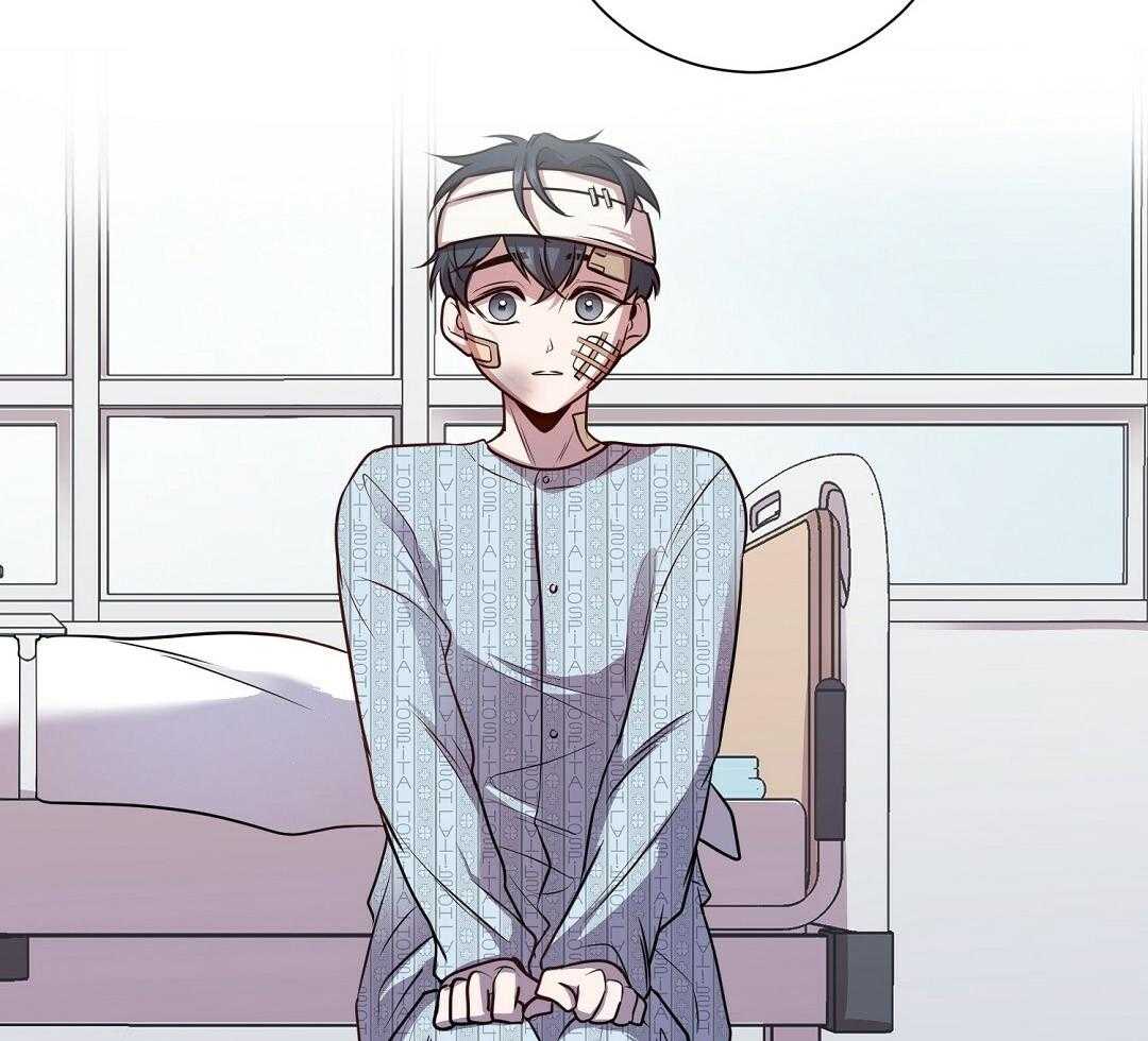 猫的归宿漫画漫画,第5话5图