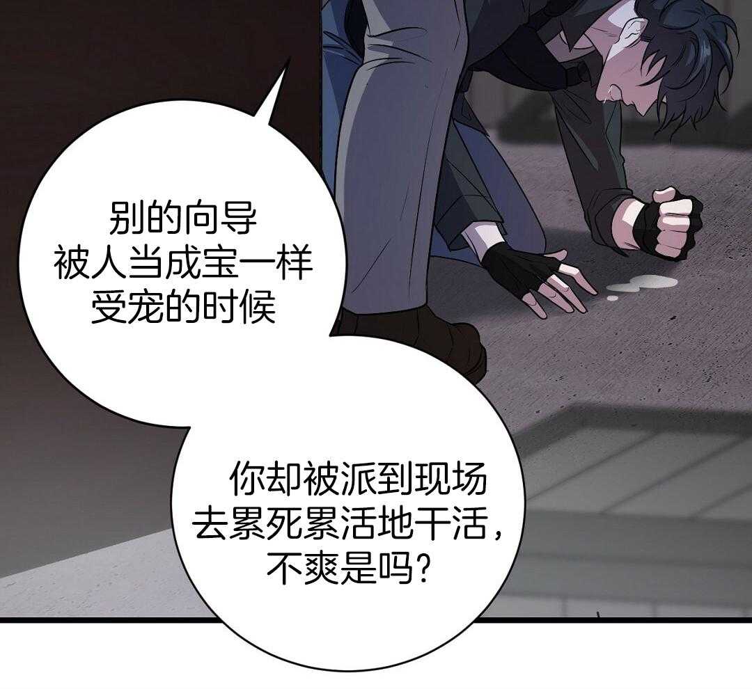 猫的归宿漫画漫画,第12话5图