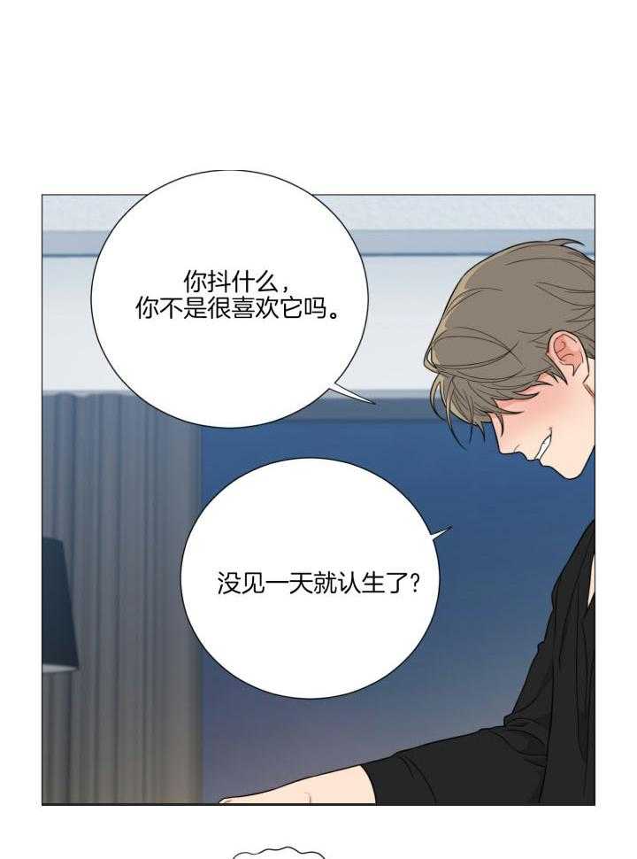 城市之光漫画漫画,第19章：背回家3图
