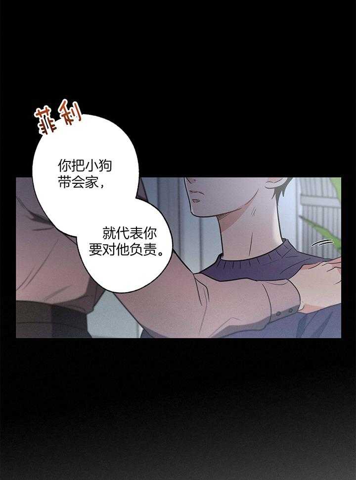 掠夺婚姻漫画全集免费漫画,第10章：当面询问8图